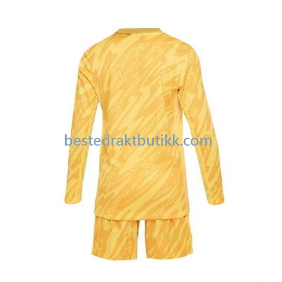 Fotballdrakter Frankrike Keeper Hjemmedraktsett Euro 2024 Langermet til Barn