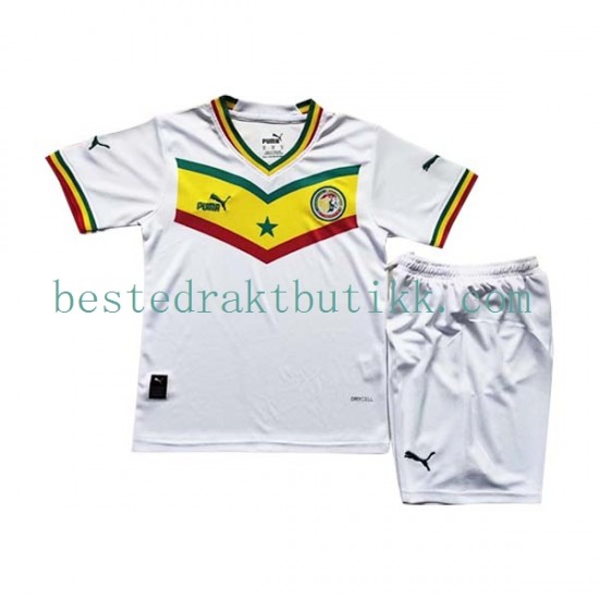 Fotballdrakter Senegal Hjemmedraktsett Fotball-VM 2022 Kortermet til Barn